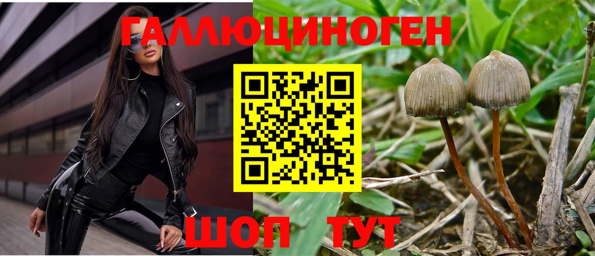 Псилоцибиновые грибы Psilocybe  Галлюциногенные грибы ЛСД  Вход с VPN  Артём 